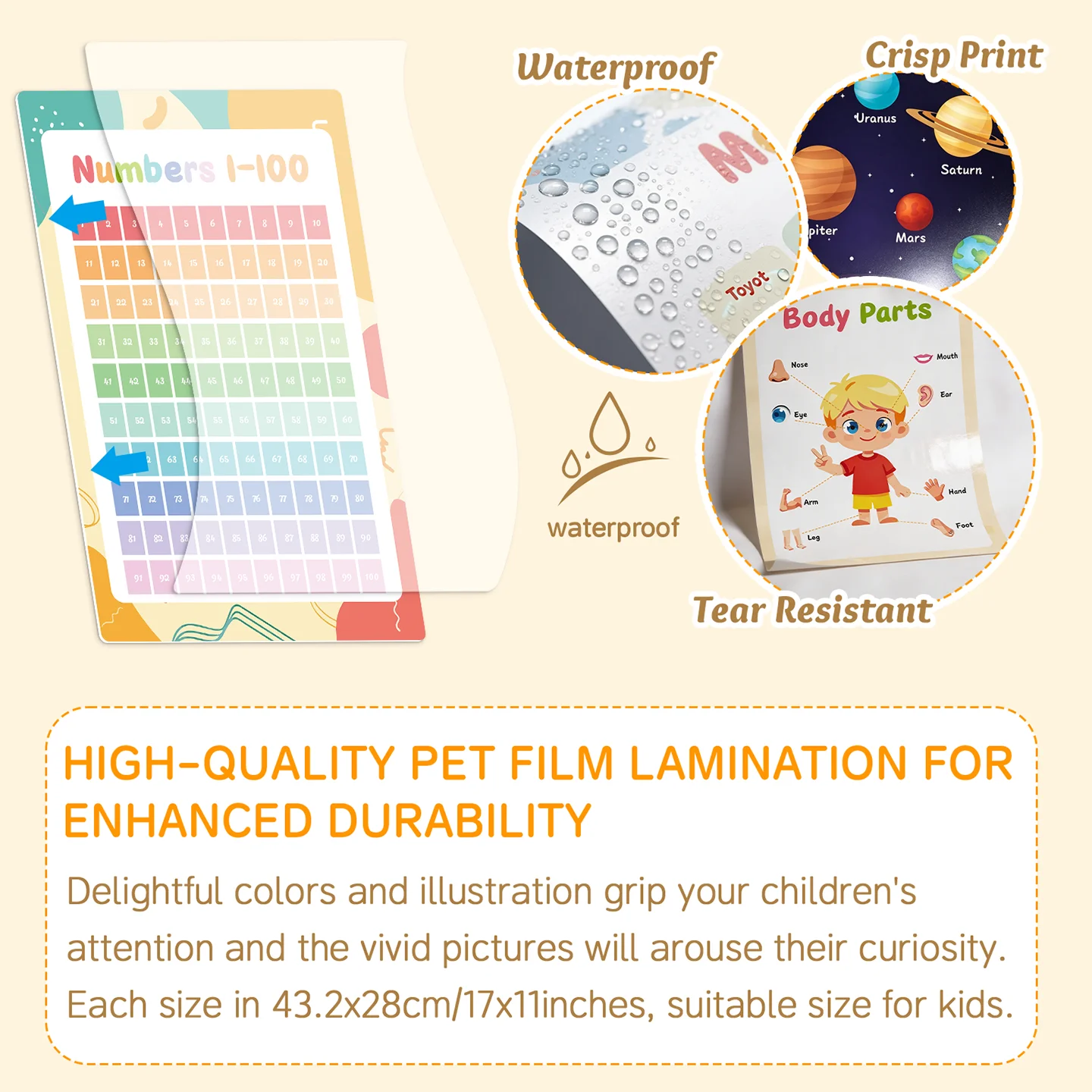 Laminated Learning Posters Waterproof Tear-resistant Classroom Preschool Educational Wall Charts Wholesale Factory